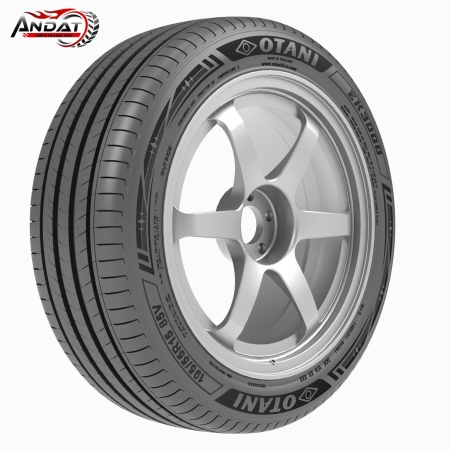 OTANI 195/55R15 EK3000