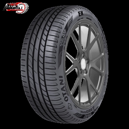 OTANI 185/55R16 EK1000